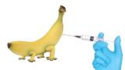 Fears of DNA Advancements