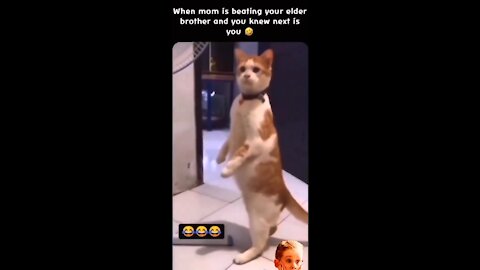 Your Mom is beating to your Elder brother and you know next is you 🐈 Expression 😄 Rumblesss