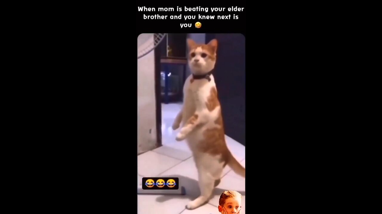 Your Mom is beating to your Elder brother and you know next is you 🐈 Expression 😄 Rumblesss