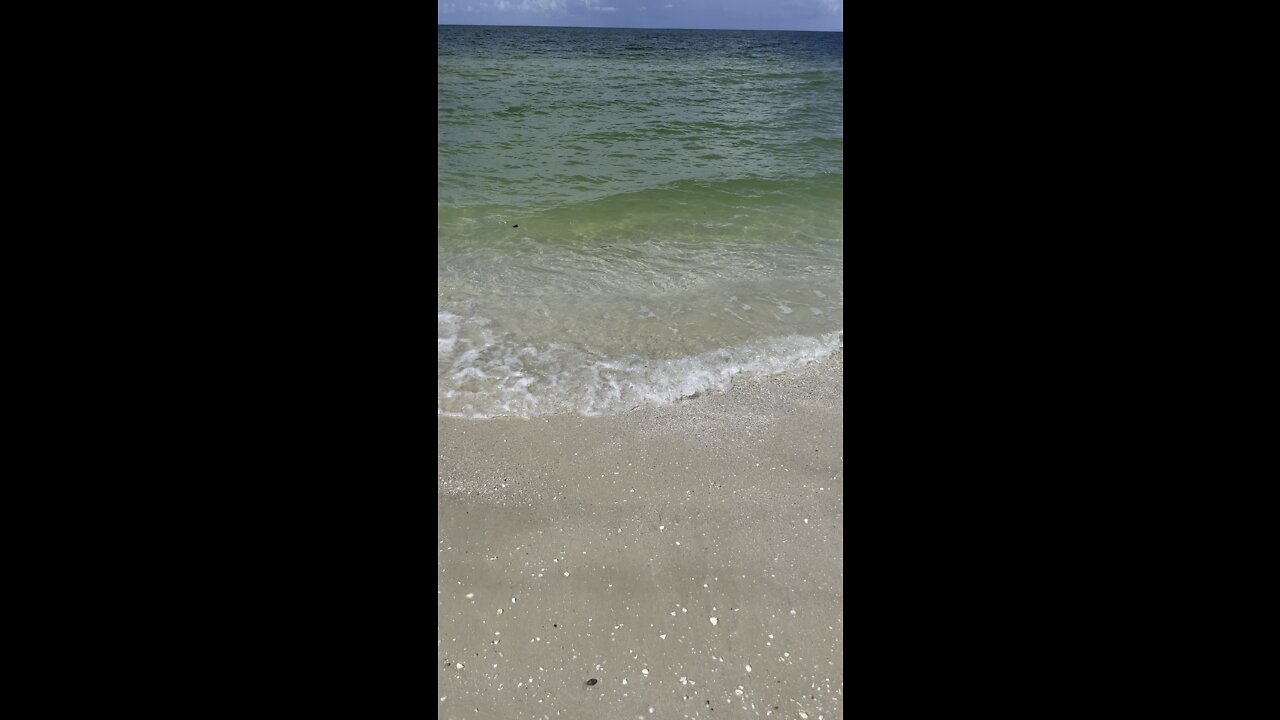 My Happy Place Little Hickory Beach 4K