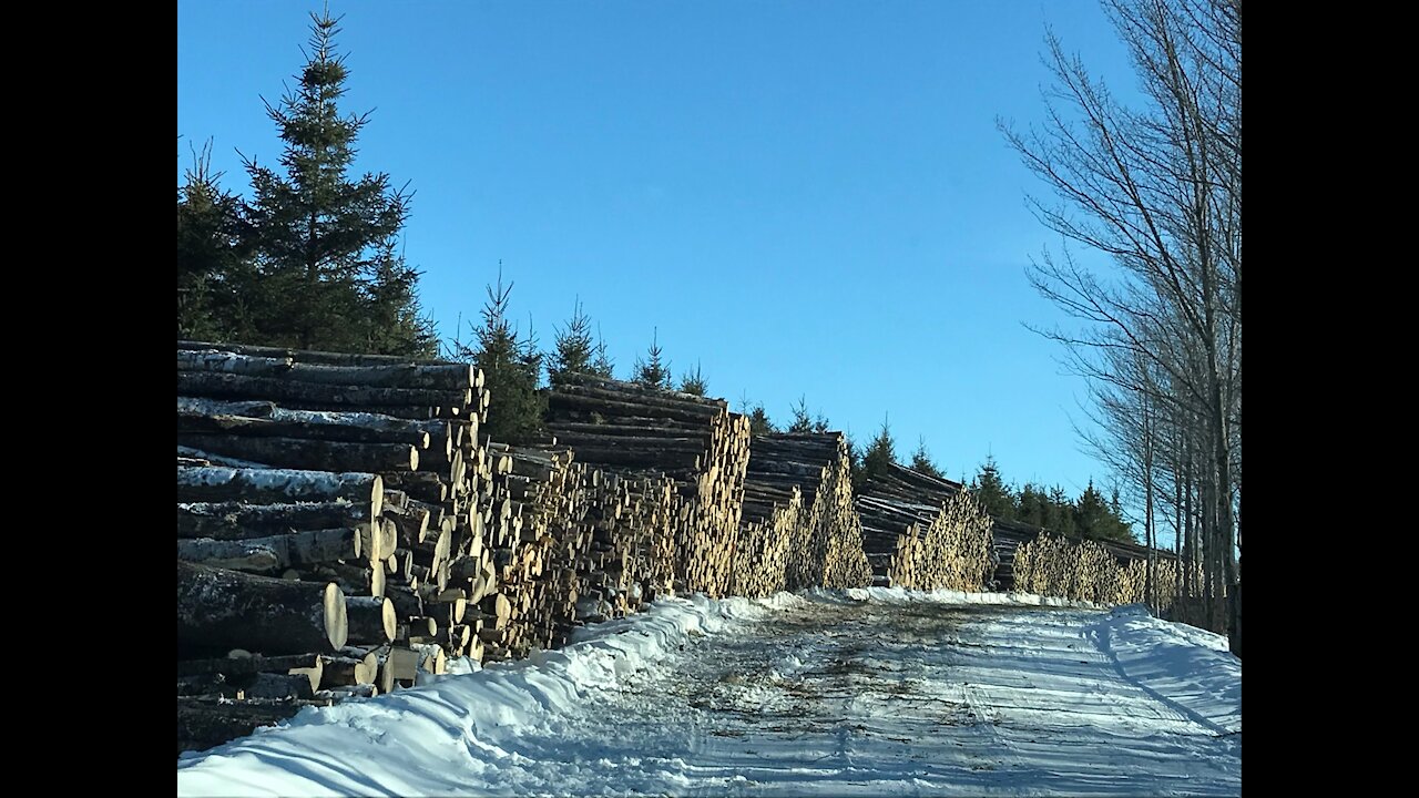 Entrevue Éric Cliche - APBB - Mars 2021