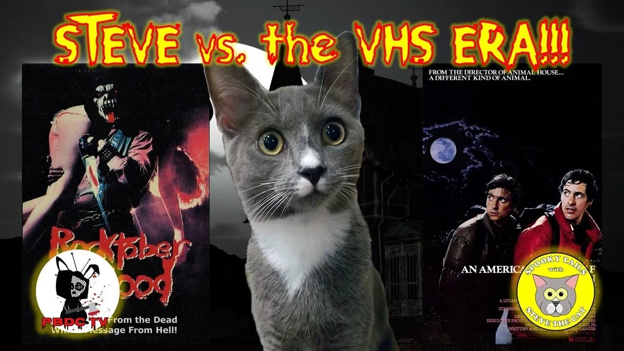 [Spooky Tails with Steve the Cat]: Steve reviews [An American Werewolf in London]