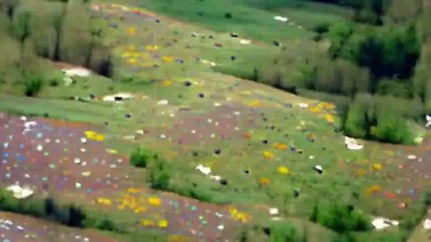 a field of wildflowers in spring #Shorts #AI #Art #Animation #crafts #NFT #ArtGallery #ArtMuseum