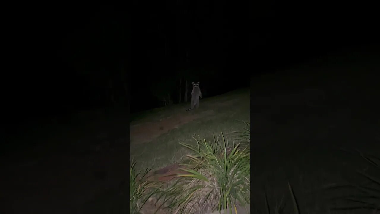 I was robbed!