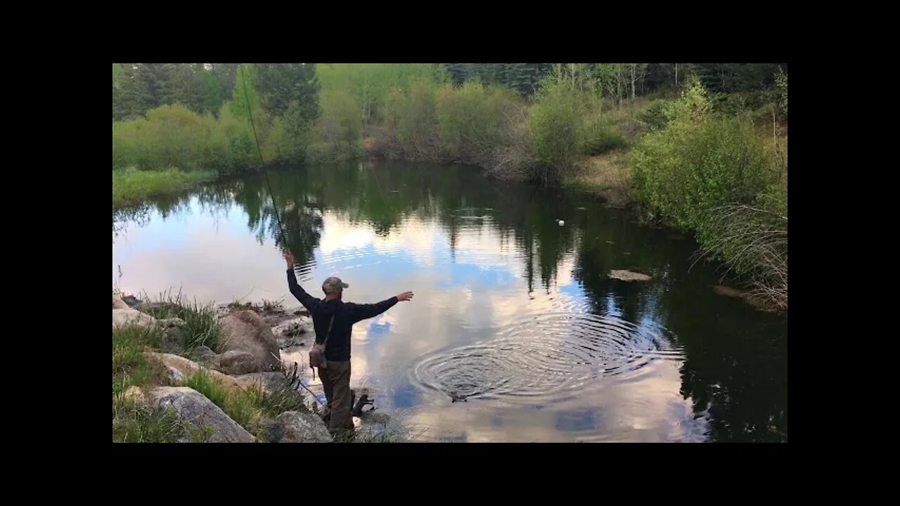 Off Grid Living: Sauna/Cold Plunge Setup at the Cabin