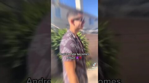 ANDREW TATE MEETS PITBULL