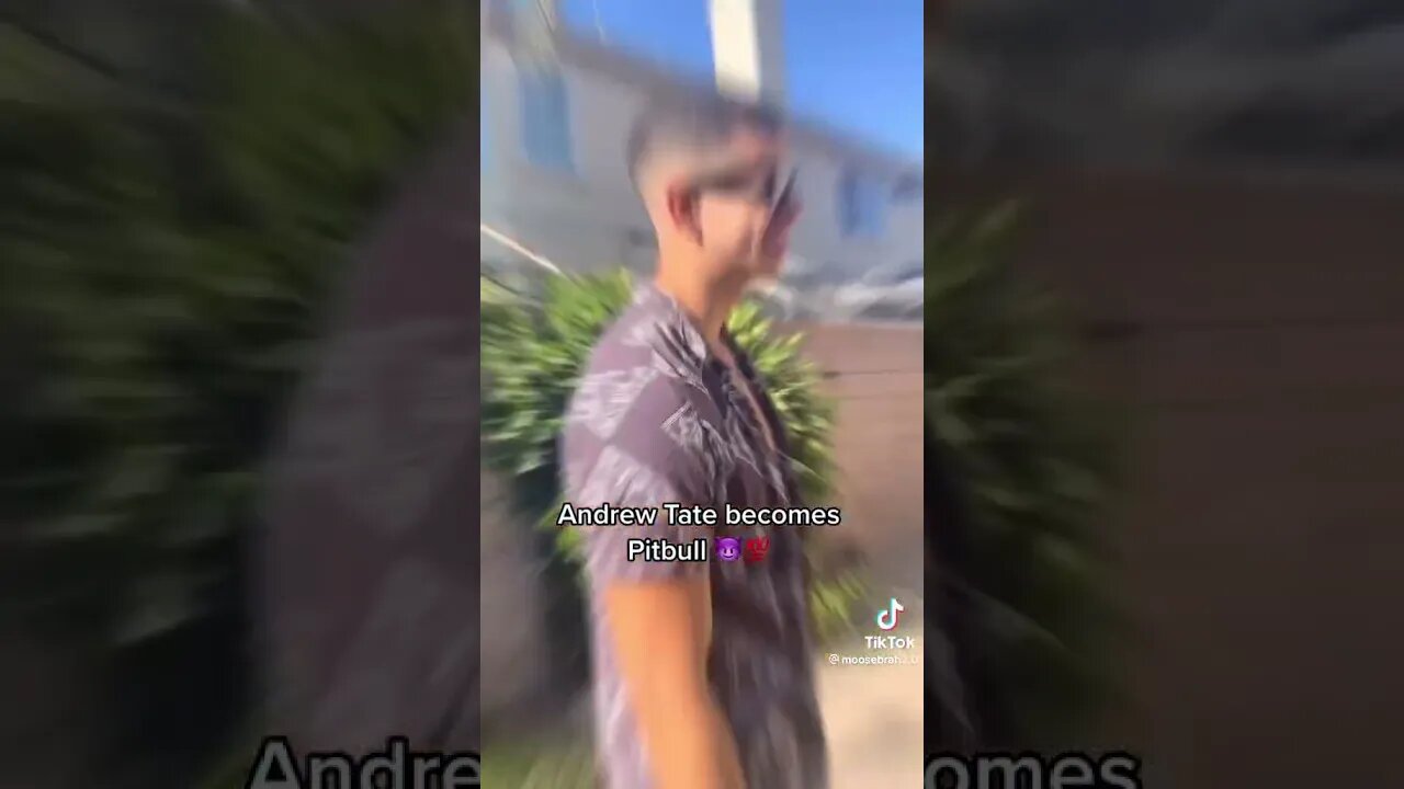 ANDREW TATE MEETS PITBULL