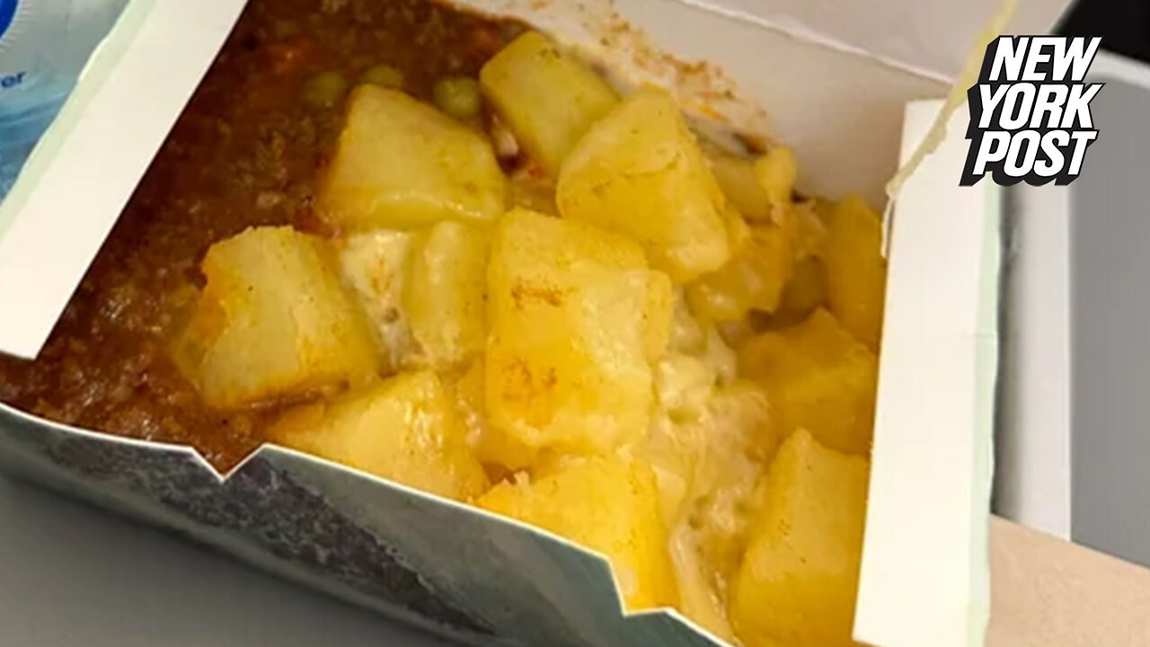 'It's a box of sludge' cry passengers after traveler slams plane meal served during flight