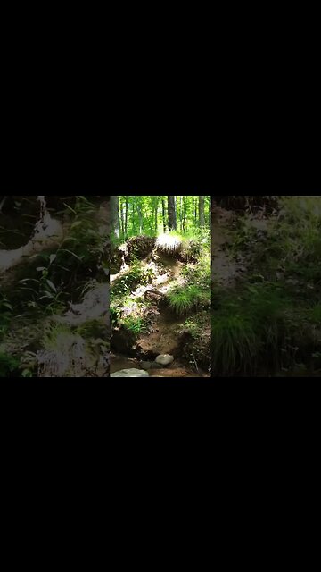 Amazing ride today checkout the full video 😉