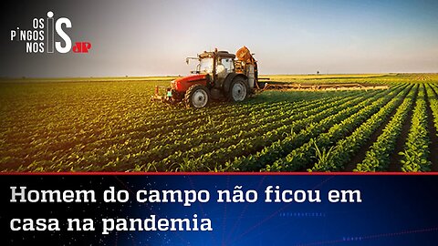 Peso do agro do Brasil vai crescer ainda mais nos próximos anos