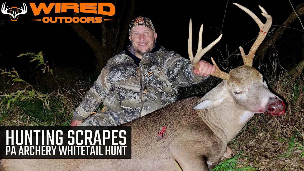 Hunting Scrapes PA Archery Whitetail Hunt