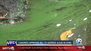 Algae bill passes