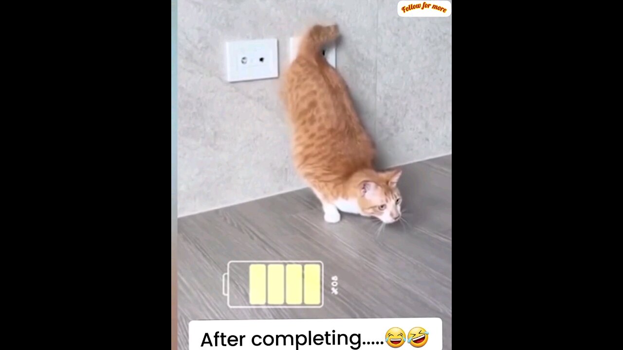 You will be surprised to see the running speed of the cat Battery charging🤣🤣