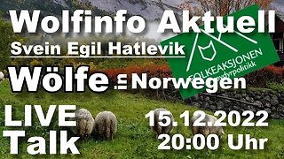 Wolfinfo Aktuell LIVE TALK ( Wölfe in Norwegen )