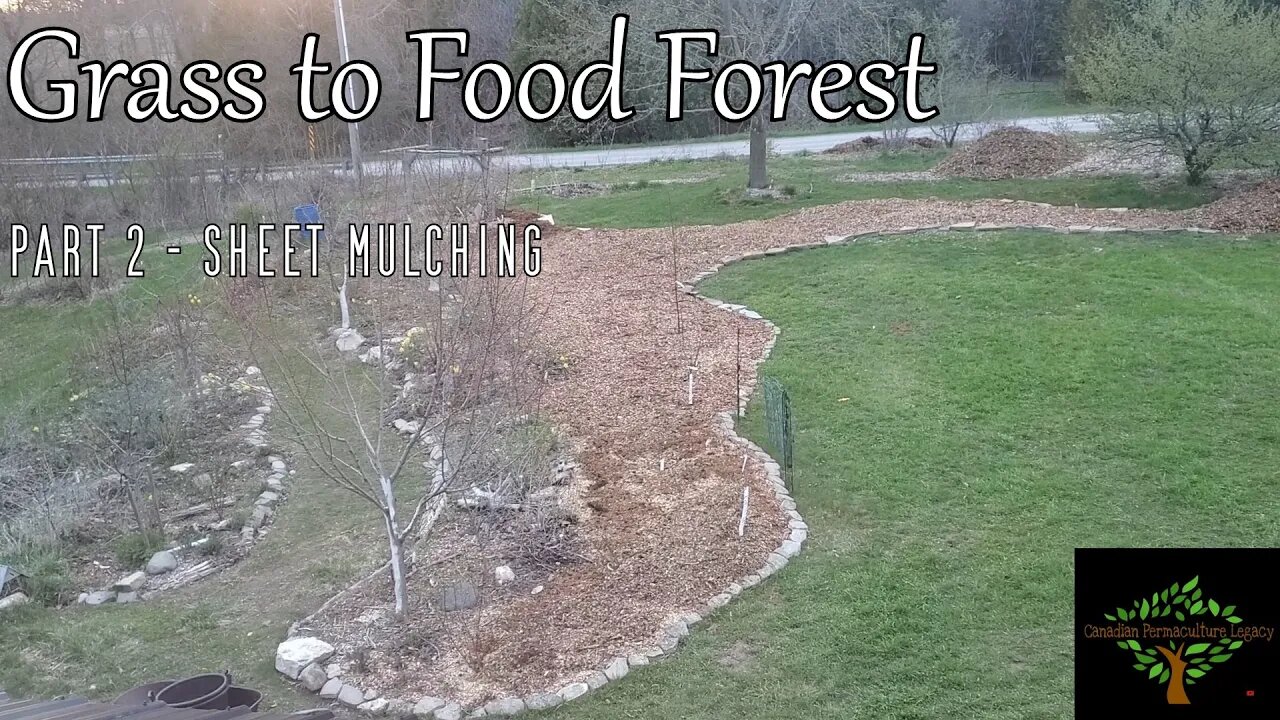 Grass to Food Forest - Part 2: Lets jump into dumpsters, shall we? Dumpster diving for trees