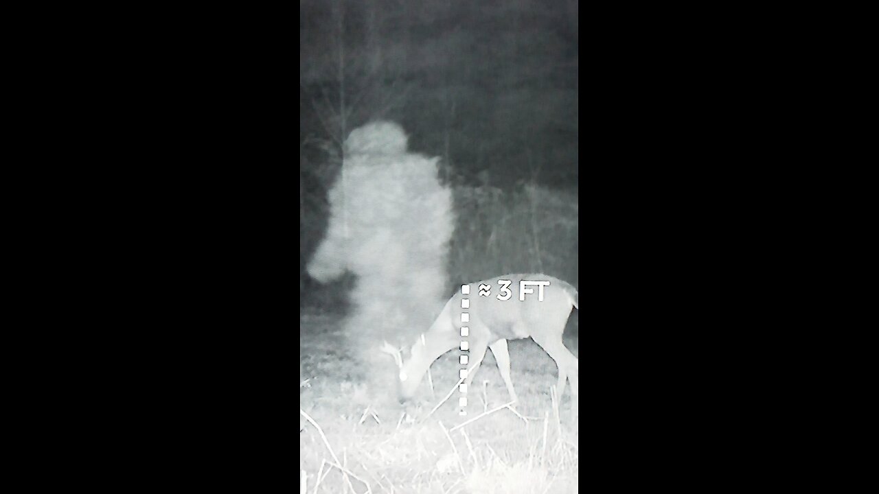 Trail Cam Sasquatch