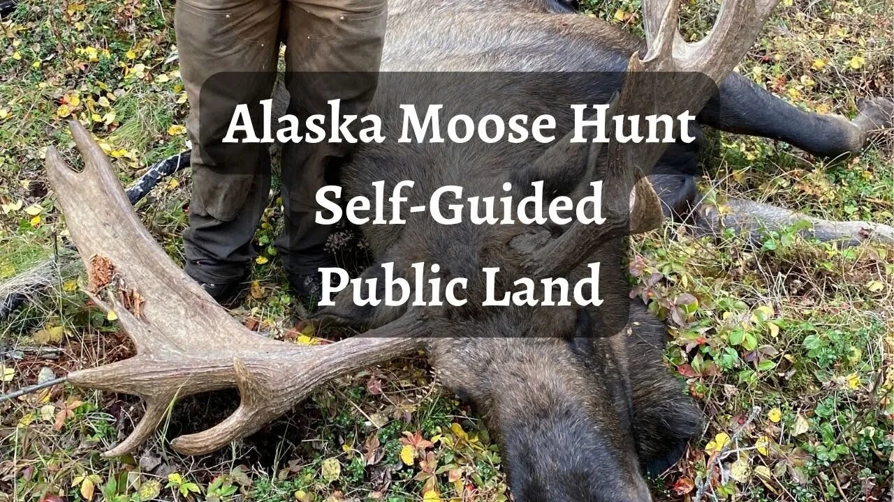 Alaska Moose Hunt | Self-Guided | Public Land | Wild West Trail