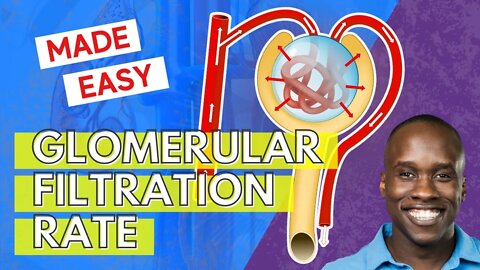 Glomerular Filtration Rate - But Easier to Understand