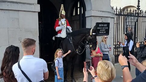 The quiet guard hands off the Reins #horseguardsparade
