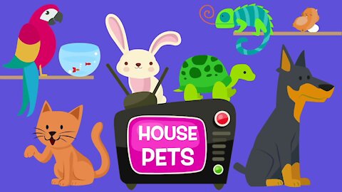 videos for babies, toddlers for kids