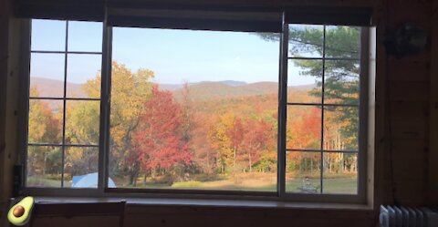 Driving to Upstate New York Cabin House in the Peak of Fall Foliage