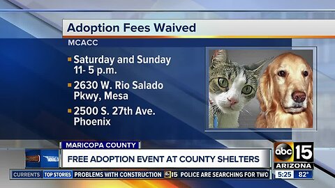 Free adoptions at both MCACC shelters on Saturday only!