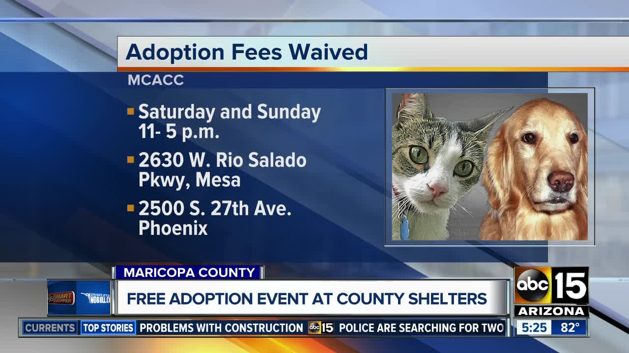 Free adoptions at both MCACC shelters on Saturday only!