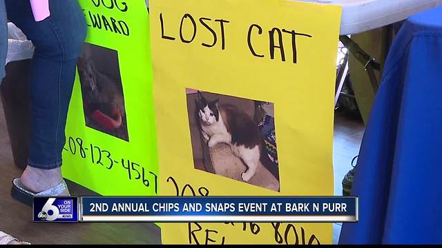 Chips and Snaps event at Bark n Purr in Boise