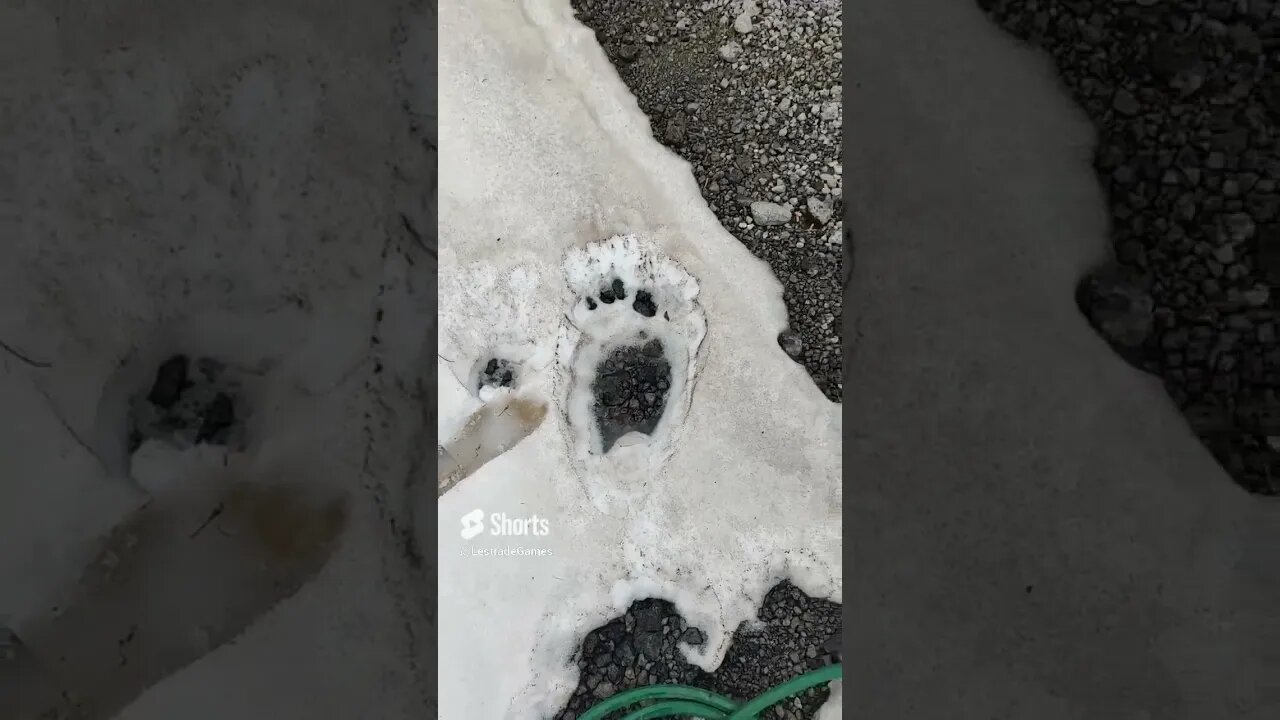 Big Foot track found!