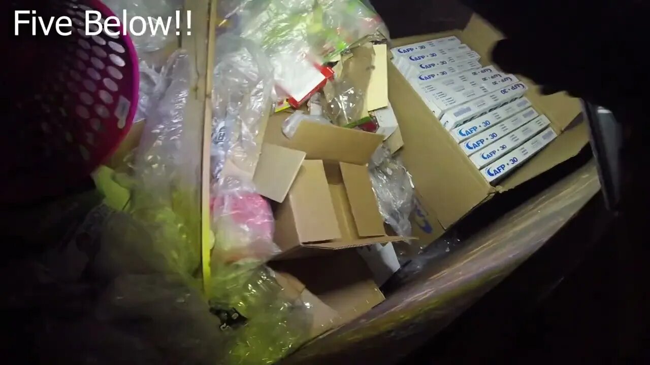 DUMPSTER DIVING AT PETCO, BBW, FIVE BELOW, and DOLLAR TREE!!
