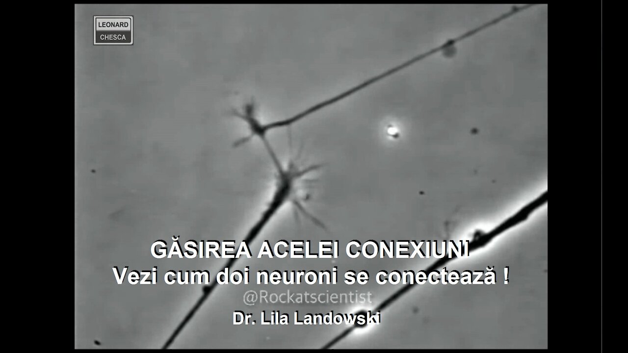 GĂSIREA ACELEI CONEXIUNI , e uimitor cum doi neuroni se conectează !