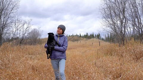 A Relaxing and Restorative Day in the Country | What I Ate | Simple Meals