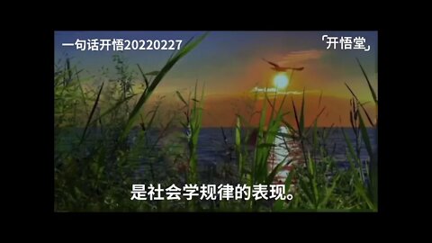 一句话开悟20220227