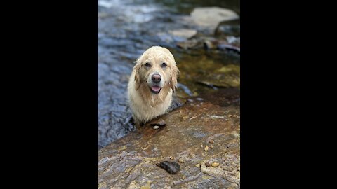 Catching River Rocks