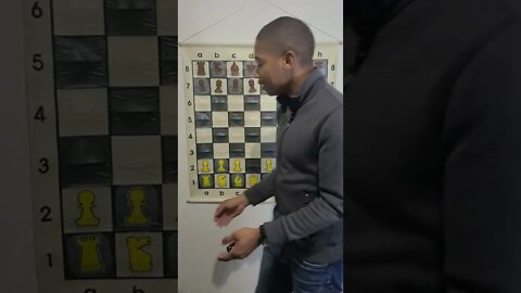 Chess Blooper 17