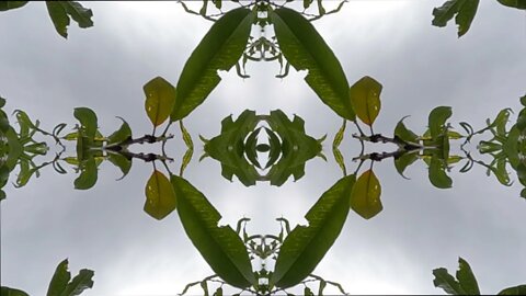 Baffling Cinematic Atmosphere with Jaw Harp and Distant Choirs