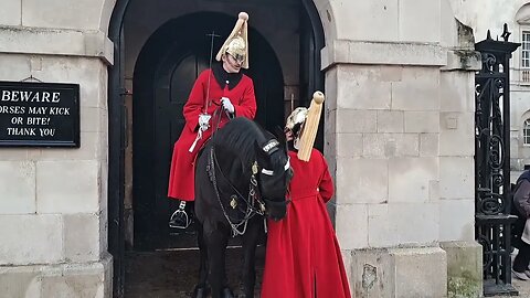 Arni THE TOURIST HATER TRYING TO BITE THE FOOT SOLDIER #thekingsguard
