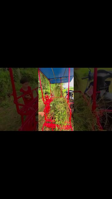 Rural Thailand Life In Todays Vlog 🙏 #thaiculture #thailandvlog #thailand