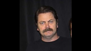 E se encontrasse a cara do ator Nick Offerman numa almofada?