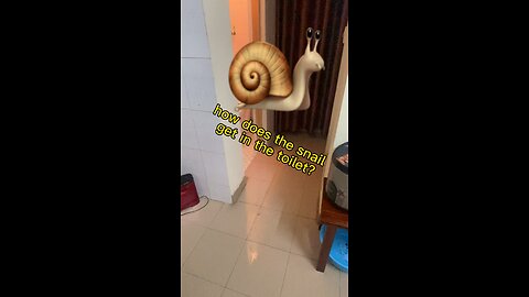 Saving a snail🇻🇳 #slimy #bepcui #savinganimals #Hanoi #snail #hansen #Vietnam