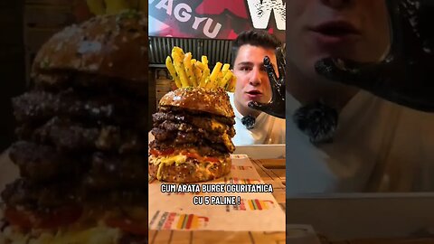 CUM ARATA BURGERUL OGURITAMICA CU 5 PALINE ! #oguritamica #manaciosul #food #romania #mancare