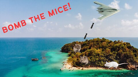 Bombing Island Mice