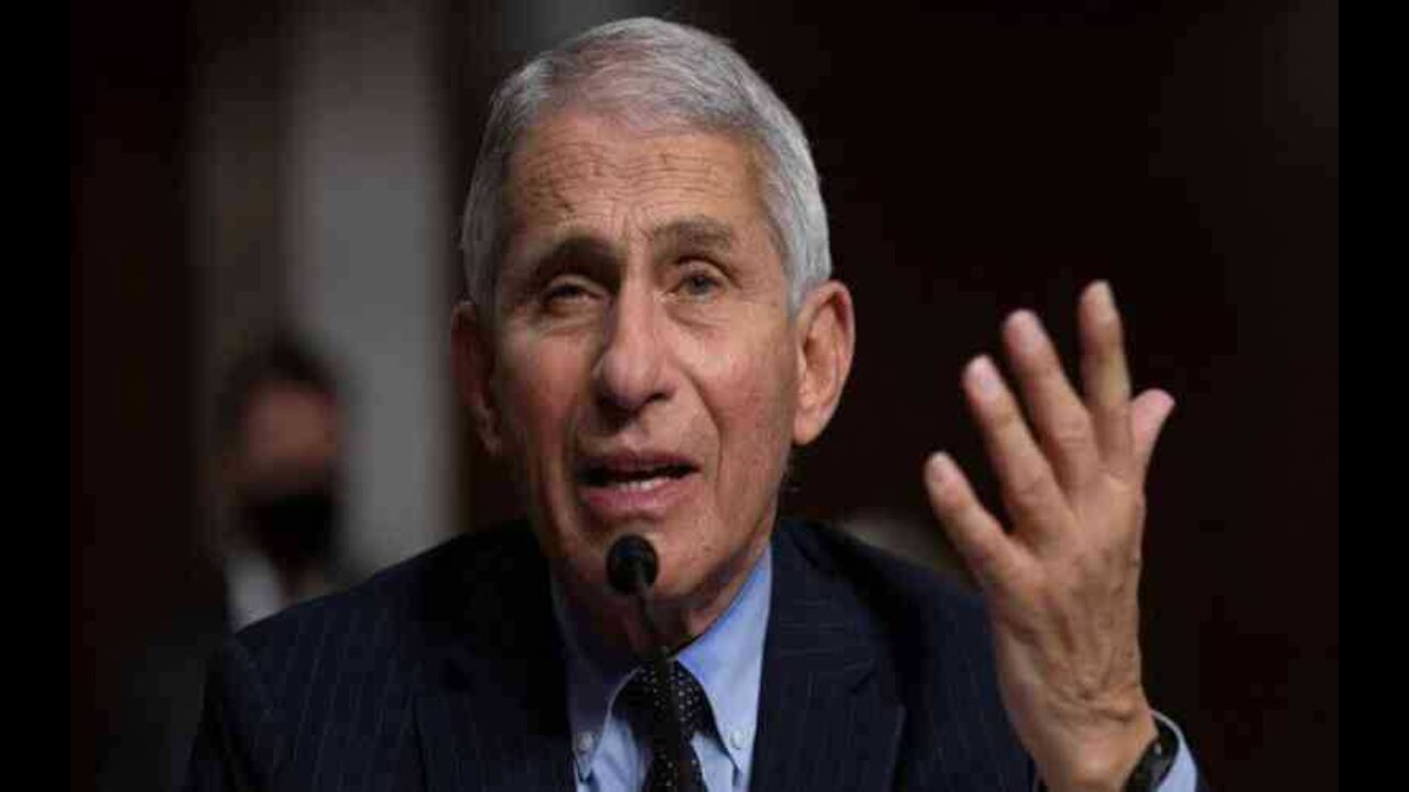 Fauci Blasted For Remarks About Cruz, Calling GOP Senators Liars