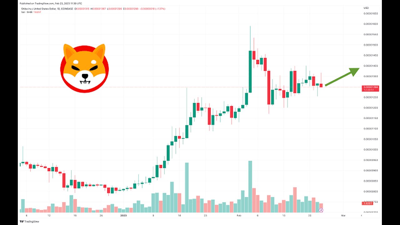 Shiba inu Price In next Bull Run Get Ready