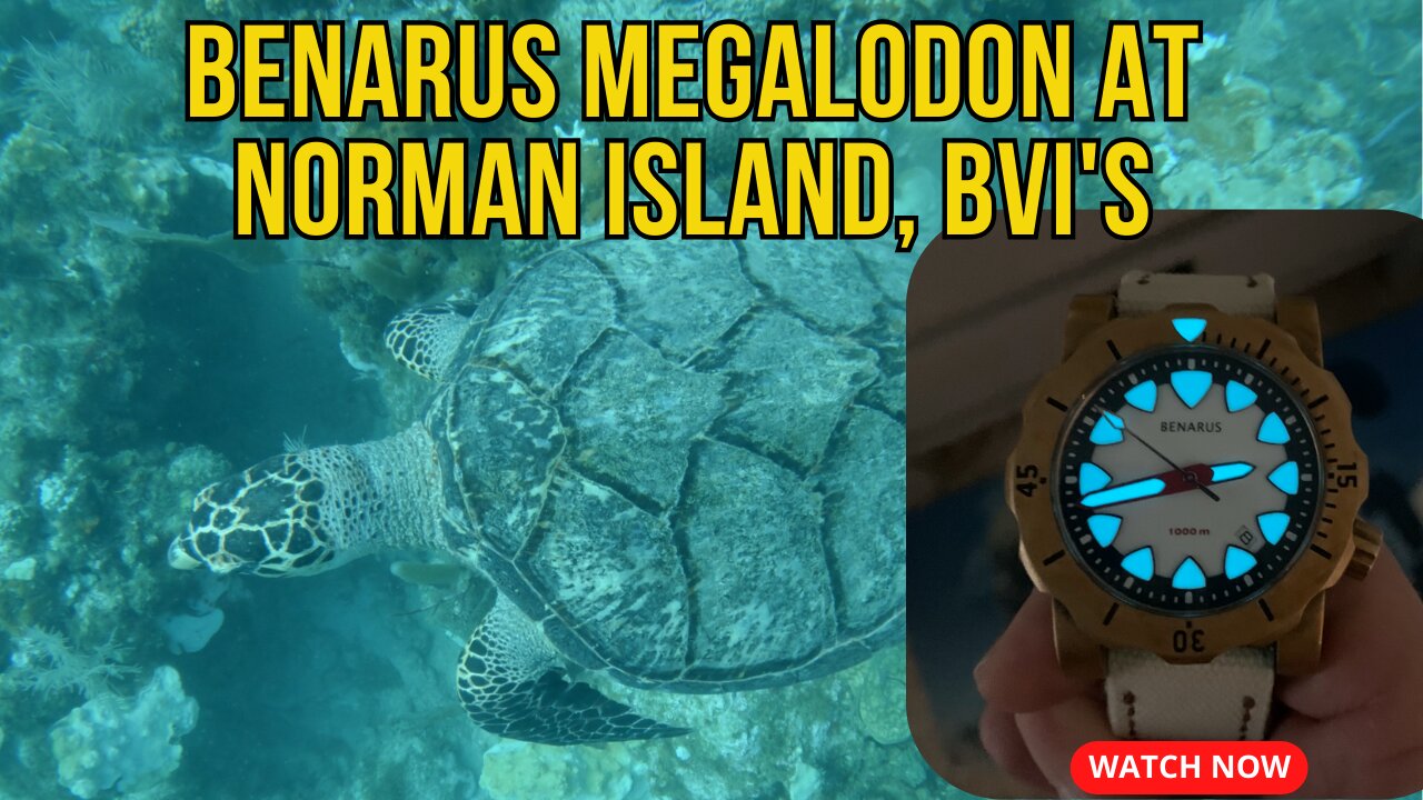 SCUBA Diving Norman Island, BVI's with a Benarus Megalodon (and a Hawksbill Sea Turtle)