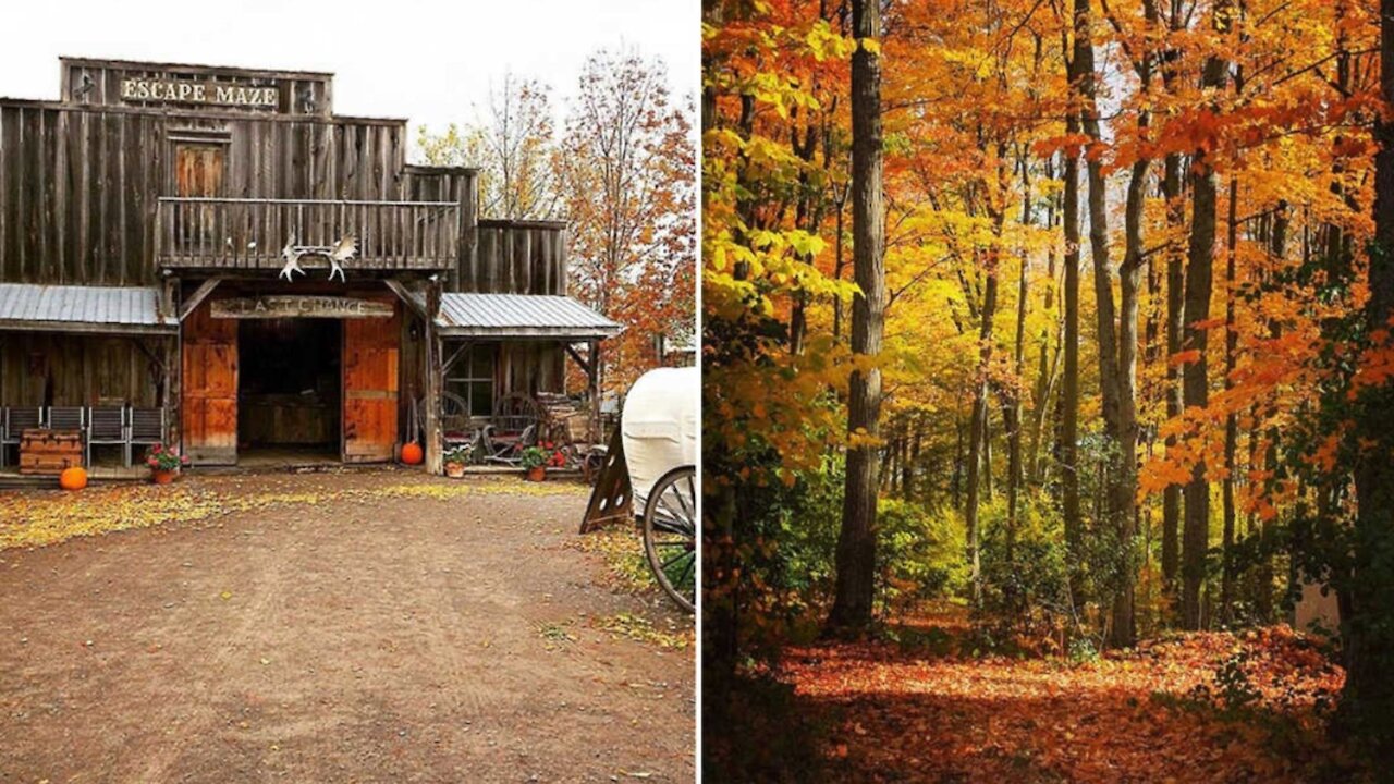 Ontario’s New Haunted Escape Trail Opens Next Month & It's Like Being In A Horror Movie