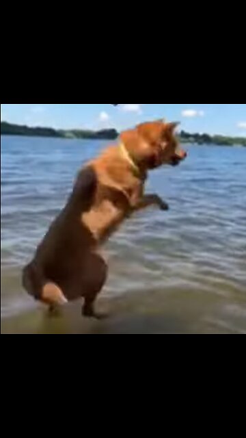 Sometimes you just need thrown in