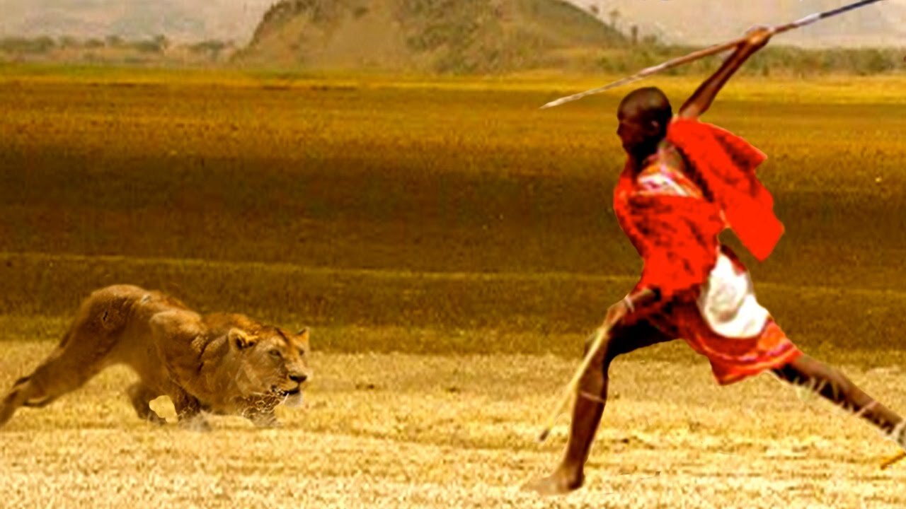 Crazy Man Entered The Lions Cage