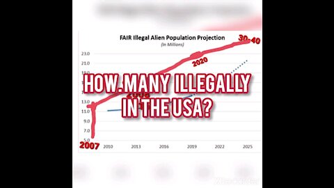 HOW MANY ILLEGALS IN THE USA?