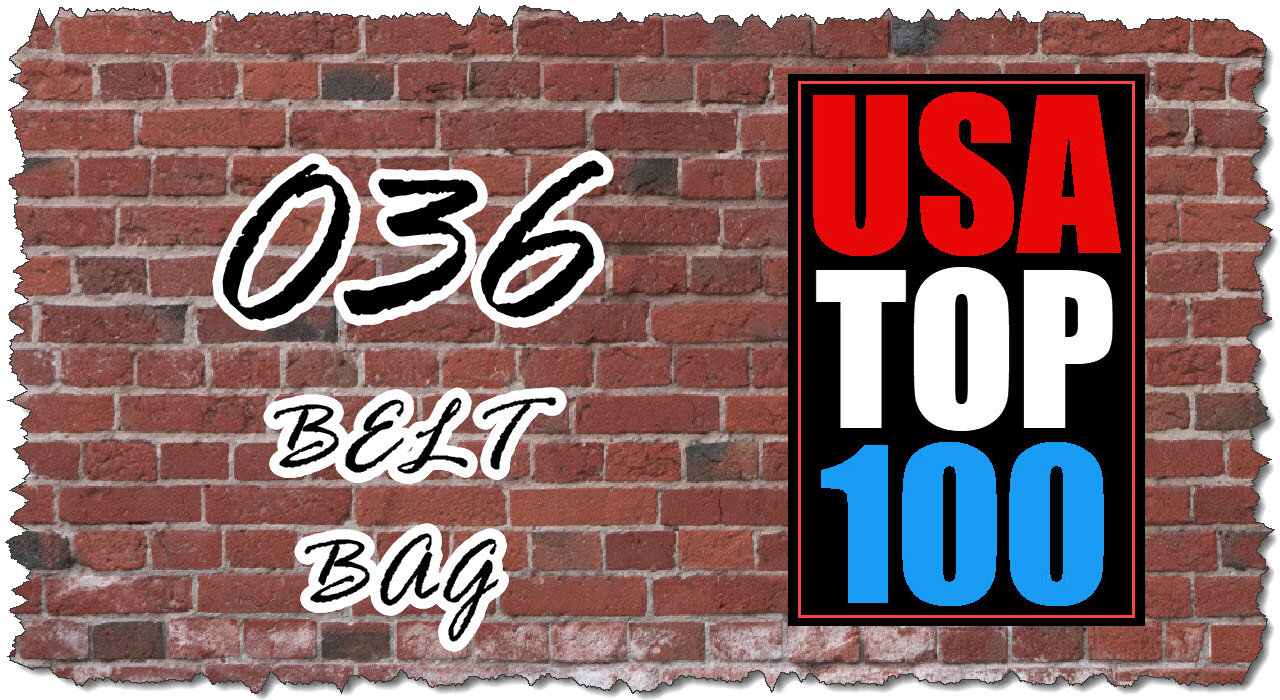 036 - Belt Bag